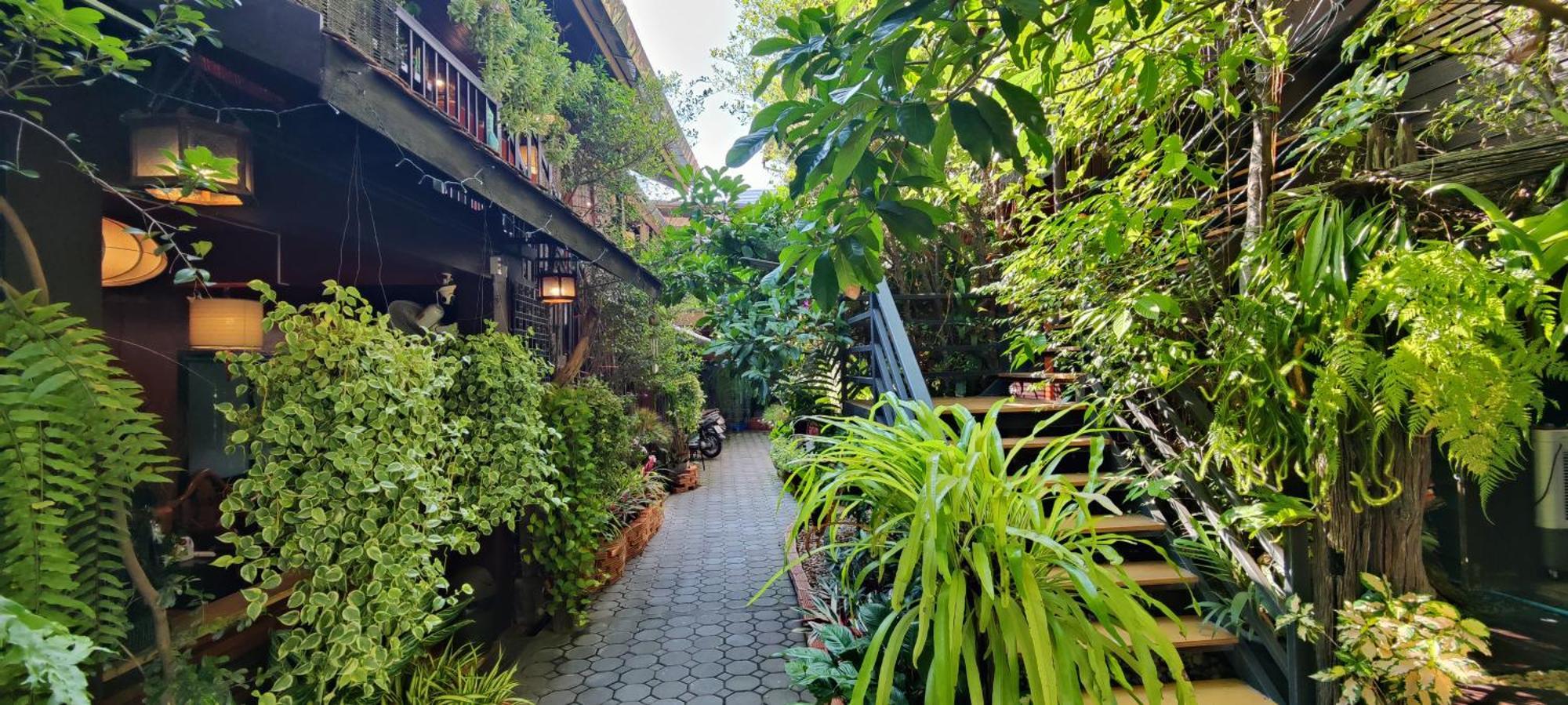 Hoh Guesthouse Chiang Mai Eksteriør bilde